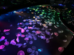 すみだ水族館に投稿された画像（2026/10/27）