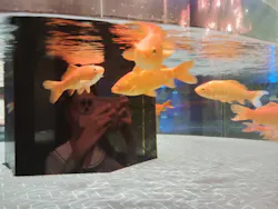 すみだ水族館に投稿された画像（2026/10/27）