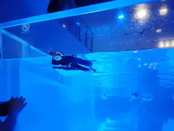 すみだ水族館に投稿された画像（2026/10/27）