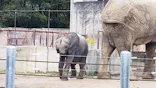広島市安佐動物公園に投稿された画像（2026/10/27）