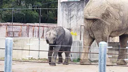 広島市安佐動物公園に投稿された画像（2026/10/27）