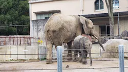広島市安佐動物公園に投稿された画像（2026/10/27）