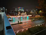 東京メガイルミに投稿された画像（2026/10/28）