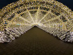 東京メガイルミに投稿された画像（2026/10/28）