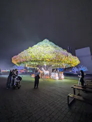 東京メガイルミに投稿された画像（2026/10/28）