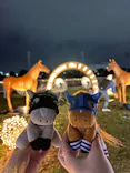 東京メガイルミに投稿された画像（2026/10/28）