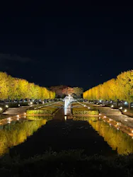 国営昭和記念公園 秋の夜散歩に投稿された画像（2026/10/28）