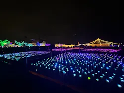東京メガイルミに投稿された画像（2026/10/28）