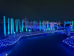東京メガイルミに投稿された画像（2026/10/28）