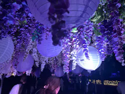 東京メガイルミに投稿された画像（2026/10/28）