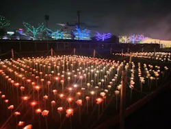 東京メガイルミに投稿された画像（2026/10/29）