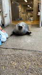 大分マリーンパレス水族館 「うみたまご」に投稿された画像（2026/10/29）