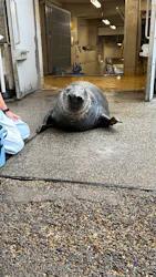 大分マリーンパレス水族館 「うみたまご」に投稿された画像（2026/10/29）