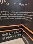 MYSTERY OF TUTANKHAMEN 体感型古代エジプト展に投稿された画像（2026/10/29）