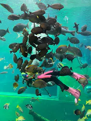 箱根園水族館に投稿された画像（2026/10/29）