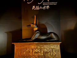 MYSTERY OF TUTANKHAMEN 体感型古代エジプト展に投稿された画像（2026/10/29）