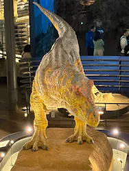福井県立恐竜博物館に投稿された画像（2026/10/29）