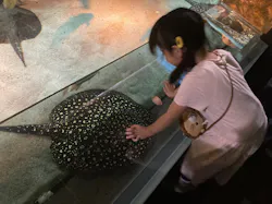 カワスイ 川崎⽔族館に投稿された画像（2026/10/29）