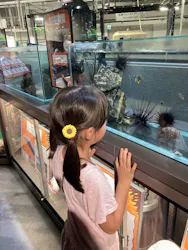 カワスイ 川崎⽔族館に投稿された画像（2026/10/29）