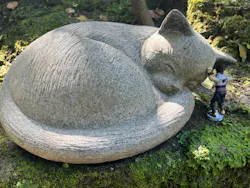 仙巌園に投稿された画像（2026/10/29）
