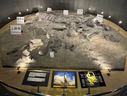 福井県立恐竜博物館に投稿された画像（2026/10/29）