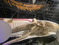 国立科学博物館に投稿された画像（2026/10/30）