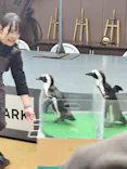 マクセル アクアパーク品川に投稿された画像（2026/10/30）