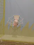 ちいかわパークに投稿された画像（2026/10/30）