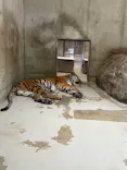 天王寺動物園に投稿された画像（2026/10/31）