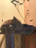 東武動物公園に投稿された画像（2026/11/1）