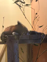 東武動物公園に投稿された画像（2026/10/31）