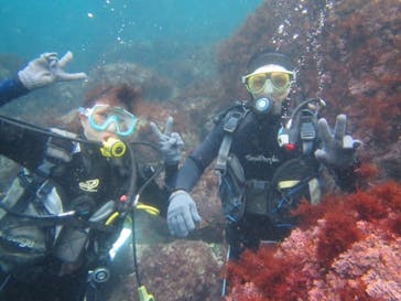 アクオス-イズに投稿された画像（2017/5/16）