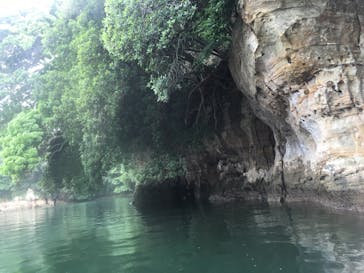 Outdoor Park Freedom（アウトドアパークフリーダム）に投稿された画像（2016/6/28）