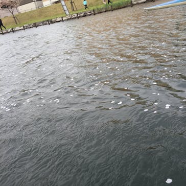 Outdoor Sports Club ZAC（ザック）に投稿された画像（2016/4/10）