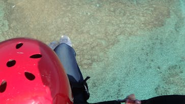 フットランチアマミに投稿された画像（2016/11/27）