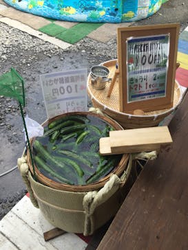 多摩川ラフティングwinds（ウィンズ）に投稿された画像（2016/8/6）