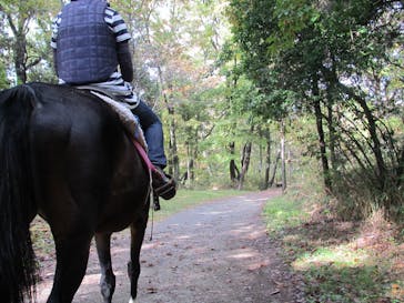 MIKIホーストレックに投稿された画像（2015/11/18）