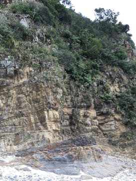 テラワークスに投稿された画像（2015/12/29）