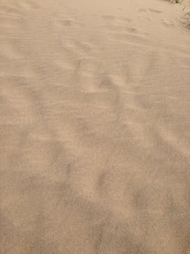 鳥取砂丘パラグライダー体験スクール（砂丘本舗）に投稿された画像（2015/4/5）