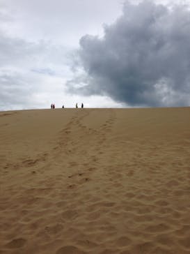 鳥取砂丘パラグライダー体験スクール（砂丘本舗）に投稿された画像（2015/4/5）