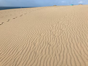 鳥取砂丘パラグライダー体験スクール（砂丘本舗）に投稿された画像（2017/9/29）
