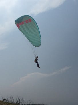 鳥取砂丘パラグライダー体験スクール（砂丘本舗）に投稿された画像（2015/8/6）