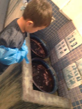 藍染め・機織り工房 和なり屋に投稿された画像（2016/9/26）