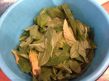 藍染め・機織り工房 和なり屋に投稿された画像（2016/9/26）