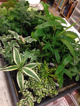 カルチャースクールいろはに投稿された画像（2016/9/16）