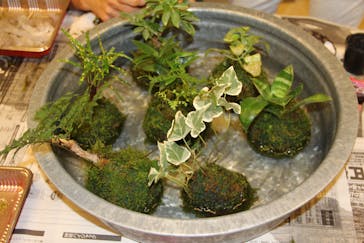 カルチャースクールいろはに投稿された画像（2016/9/21）