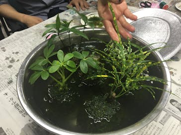 カルチャースクールいろはに投稿された画像（2016/9/18）