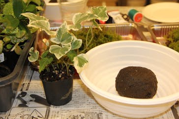 カルチャースクールいろはに投稿された画像（2016/9/21）