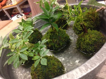 カルチャースクールいろはに投稿された画像（2016/9/16）