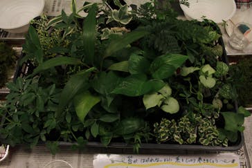 カルチャースクールいろはに投稿された画像（2016/9/21）